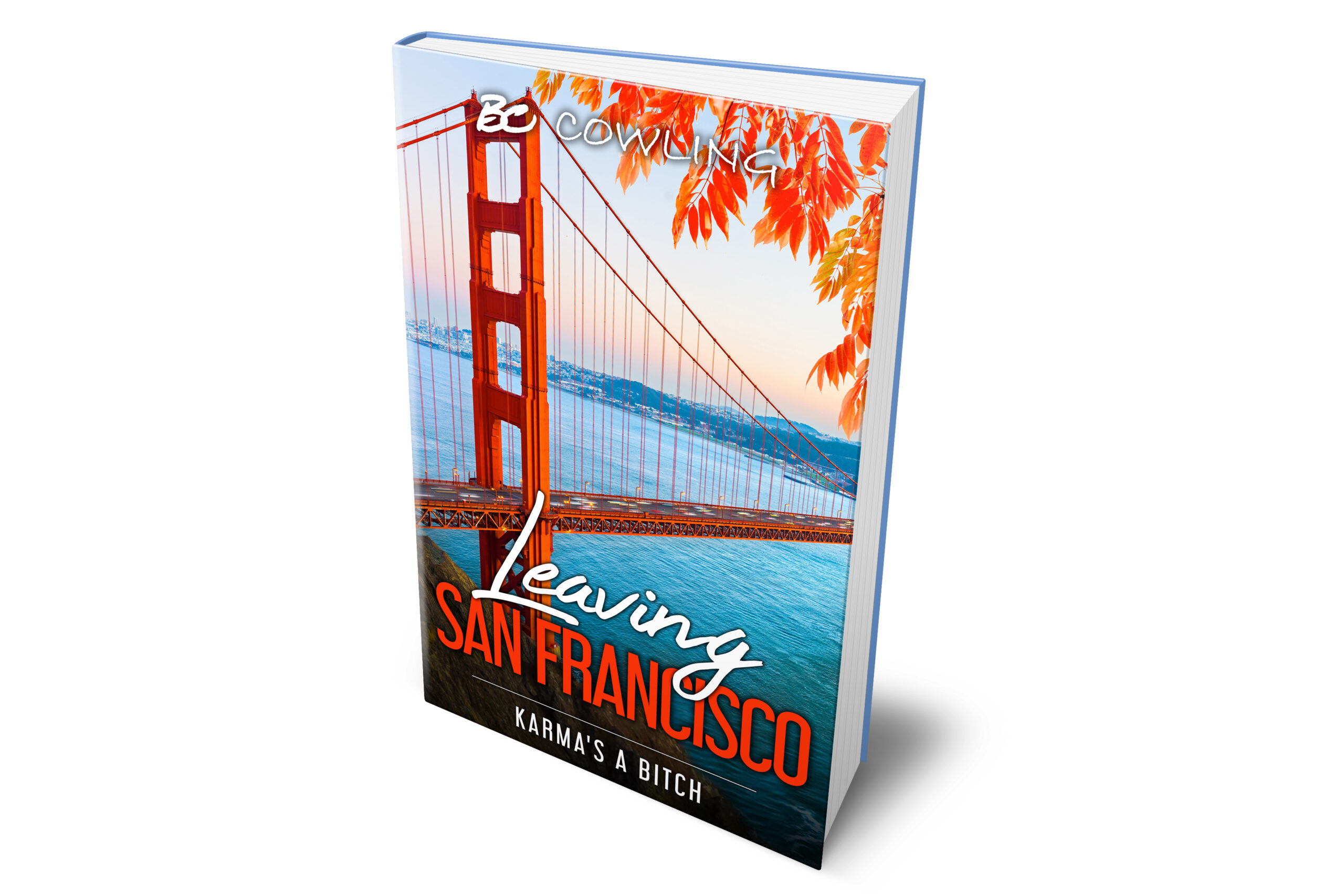 Leaving San Fran 3d cover